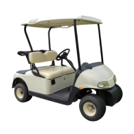 Golf Carts EV